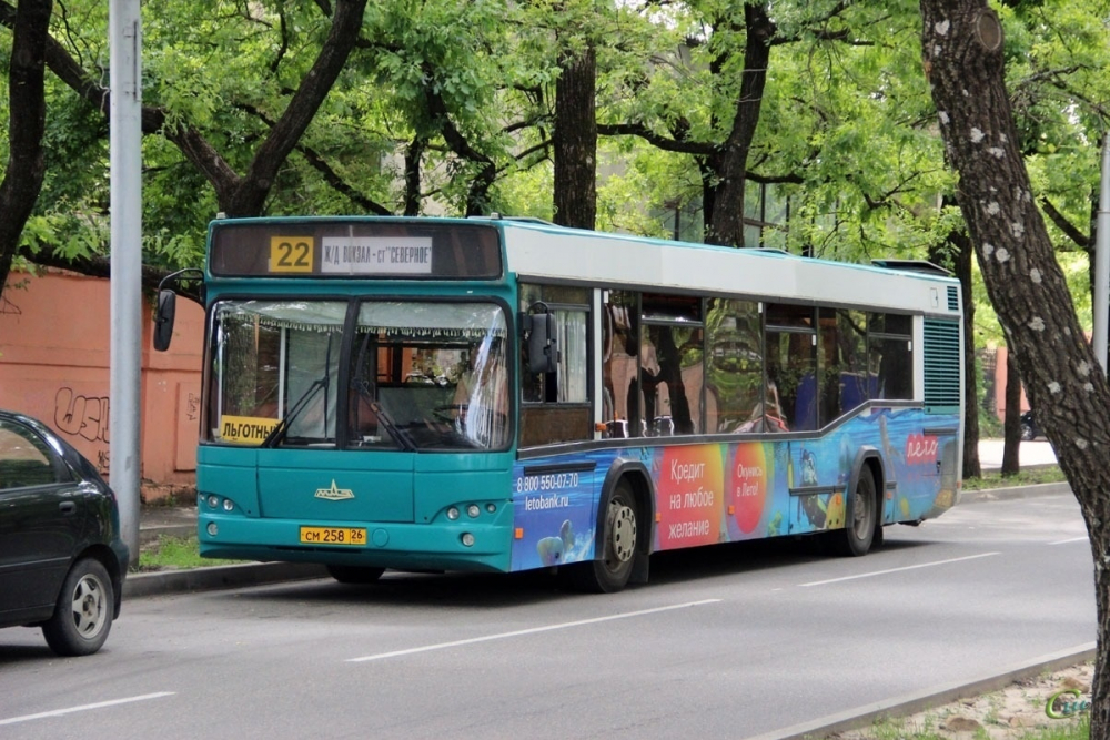 Дачные автобусы начнут работу в Ставрополе с 1 апреля
