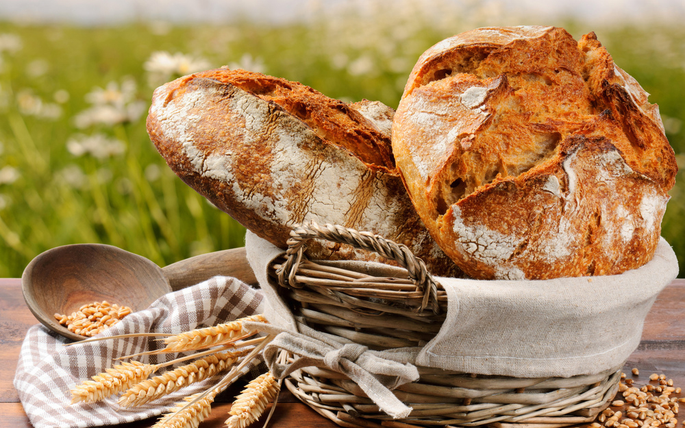 В Ставрополе началась выставка хлеба