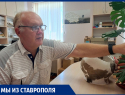 Принцессы, шлемы и кувшин с деньгами: ставропольский археолог рассказал о самых главных кладах Ставрополья