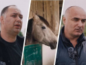 Работники скандальной конюшни на Ставрополье опровергли информацию о массовой гибели лошадей    