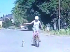  Проклятиями осыпали юного живодера на велосипеде жители Ставрополя после просмотра видео с истязанием котенка до смерти