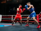 Ставропольские боксеры «почистили лица» северокавказским конкурентам на рингах в Грозном 