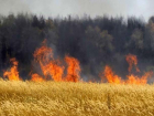 На Ставрополье бушуют пожары: 100 гектаров пшеницы уничтожил огонь