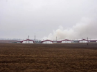 «Трупный запах гари»: дым от сжигаемой птицы мешает дышать жителям Изобильненского округа 