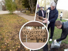 Ветеранская аллея «Живой музей», заложенная накануне 68-летия Победы, бесследно исчезла в Ставрополе