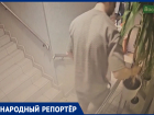 Верните пальму: компания ставропольцев похитила комнатное растение в дискобаре