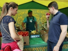 Продуктовую ярмарку перенесут ближе к Мамайскому лесу в Ставрополе