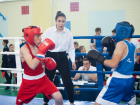 Ставропольские боксеры завоевали медали в Ереване, Чехове и Нальчике