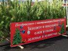 В Ставрополе заработают 16 елочных базаров