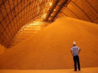 Построить новые заводы по переработке зерна предложат власти Ставрополья Турции