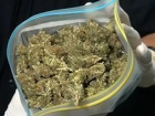 Житель Ставрополья перевозил 2 кг марихуаны в своем авто