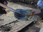 Фотографии кормления с лопат на масленицу в Ставрополе «взорвали» интернет