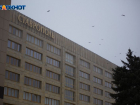 Штормовое предупреждение из-за сильного ветра объявили на Ставрополье 