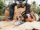 Дровосек-браконьер нарубил дров на 12 миллионов рублей возле санатория на Ставрополье