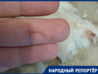 Неопознанного червя нашла жительница Ставрополя в купленном минтае