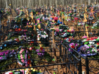 На Ставрополье катастрофическими темпами растет смертность 