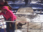 Женщина сломала ногу из-за разбросанных на ж/д путях камней и кусков льда в Пятигорске