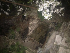 Тело полуторагодовалой девочки нашли в выгребной яме на Ставрополье