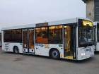 Автобусы повышенной вместимости вскоре выйдут на дороги Ставрополя 
