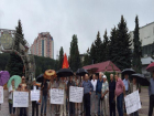 На пикете пенсионеры Ставрополя требовали назначить депутатам зарплату в размере пенсий