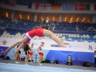 Ставропольские акробаты привезли медали из Краснодара, водные прыгуны отличились в Пензе