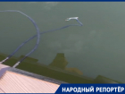 Купание с экстримом. На оголенные провода в озере Кисловодска пожаловались отдыхающие