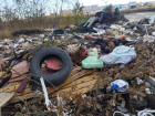 Свалку рядом с могилами обнаружили жители Ставрополя