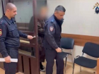 Зоозащитница получила 4 года колонии за отправленное порно искусанному собакой ребенку из Ессентуков