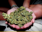 В Петровском районе в доме местного жителя нашли 10 кг марихуаны