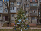 Искусственная или живая: специалисты рассказали о правилах выбора новогодней елки на Ставрополье