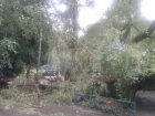 Огромное дерево упало на машину в Ставрополе