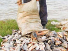 Жители края выловили на двоих 400 килограммов рыбы
