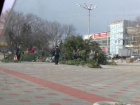 На Ставрополье ветер сорвал крышу МФЦ и повалил елку