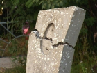 Подростки разбивали надгробия на кладбищах в Курском районе