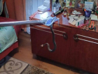 Змеи притаились под комодом в селе на Ставрополье