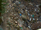 Горы мусора и трупы животных обнаружили на сельхозземлях на Ставрополье