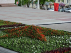 В Ставрополе появилась красная пятиконечная звезда из цветов
