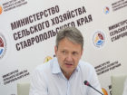  Сенсационное заявление об обрушении российского рынка молока сделал министр сельского хозяйства в Ставрополе