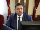 Речь шла о праймериз: Николай Новопашин попытался объяснить заявление о влиянии губернатора на выборы