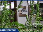 Заросли амброзии попали в объектив: как обстоят дела с мощным аллергеном в Ставрополе