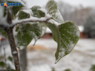 Заморозки до минус 12 градусов и снег придут в Ставрополь на следующей неделе