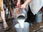 Некачественное молоко производят по старинке на Ставрополье