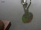 Из-за дождя и ветра на Ставрополье введен режим повышенной готовности