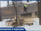 Напугавшая жителей Ставрополя вырубка оказалась стандартной обрезкой