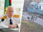 Александр Бастрыкин заинтересовался ситуацией с нападением собак на ребенка 