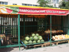 Четверть тонны нелегальных арбузов отправили под пресс в Пятигорске