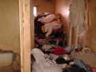 Крысы и тараканы из превратившейся в помойку квартиры бегут к соседям в Пятигорске