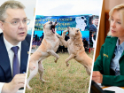 Глава Росприроднадзора призвала губернатора Ставрополья разобраться с собачьими боями в регионе