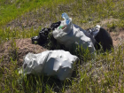 Окраины юга Ставрополя продолжают тонуть в мусоре