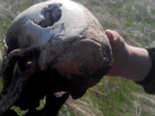 Студенты нашли простреленный череп пропавшего парня